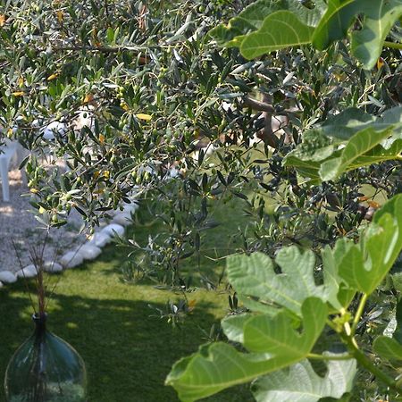 Giardinotto Casa Vacanze Altino  Eksteriør billede